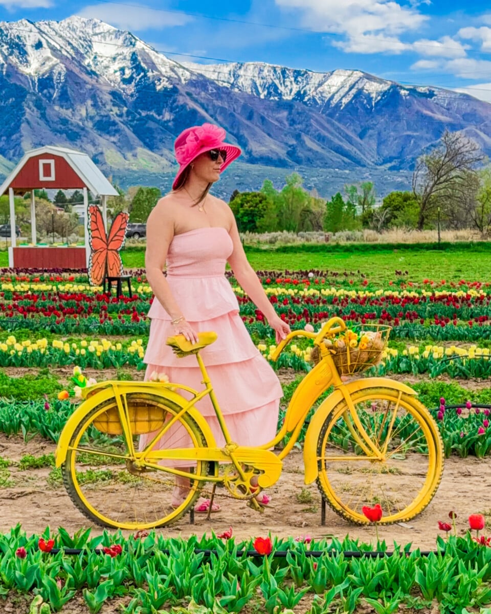 woman near bicycle in tulip field